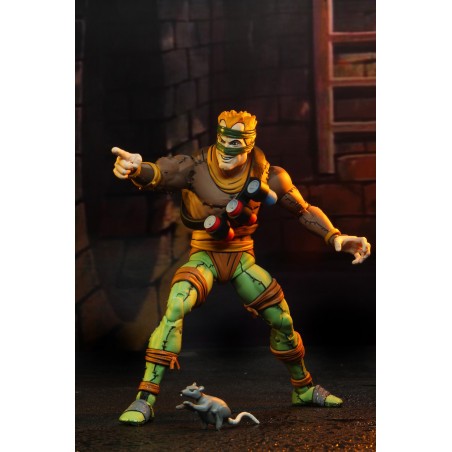 NECA - Figurine TMNT Tortues Ninja Cartoon - 2-Pack Rat King & Vernon 18cm  - 0634482541623