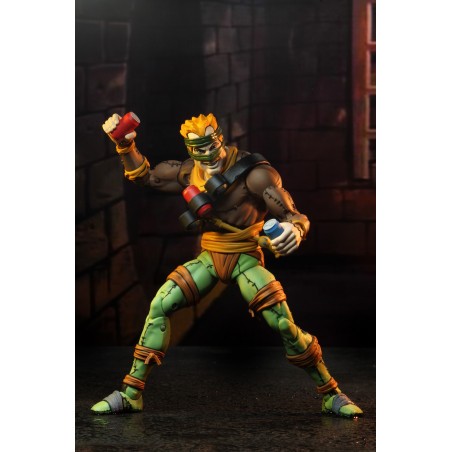 NECA - Figurine TMNT Tortues Ninja Cartoon - 2-Pack Rat King & Vernon 18cm  - 0634482541623