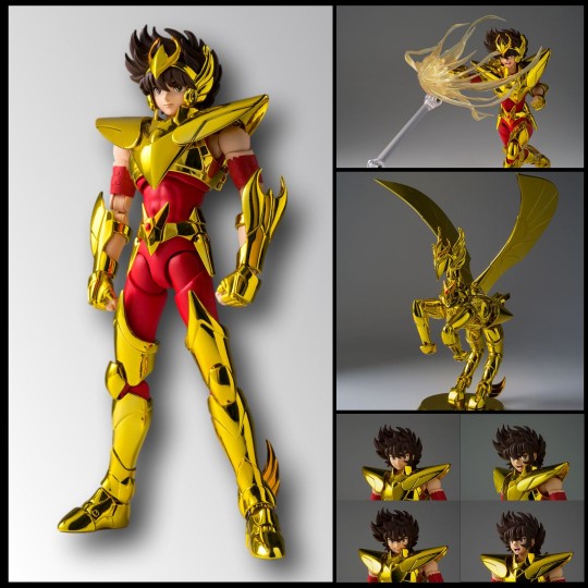 Myth Cloth EX Seiya De Pégase - Final Bronze Cloth - GOLDEN LIMITED ...